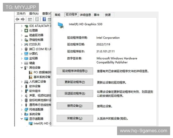 游戏内无法显示NVIDIA显卡解决方法及常见问题排查技巧
